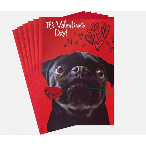 Funny Valentines Day Pug 6 Greeting Cards Set With Matching Envelopes - Picture 1 of 4
